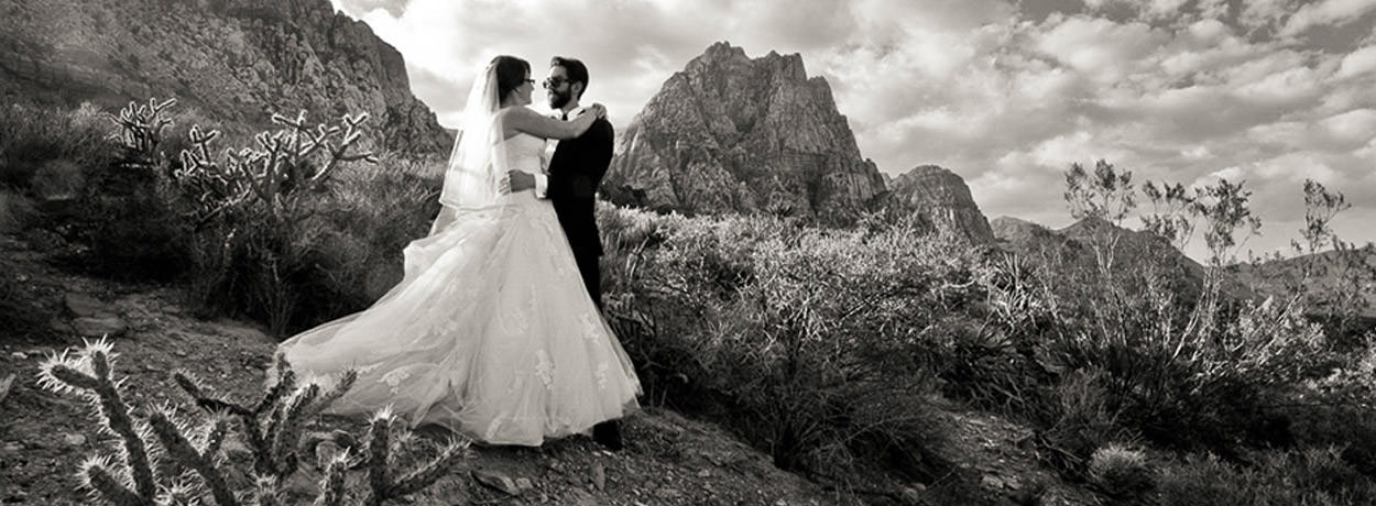 A Wedding to Admire