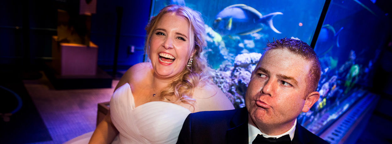 A Wedding to Admire