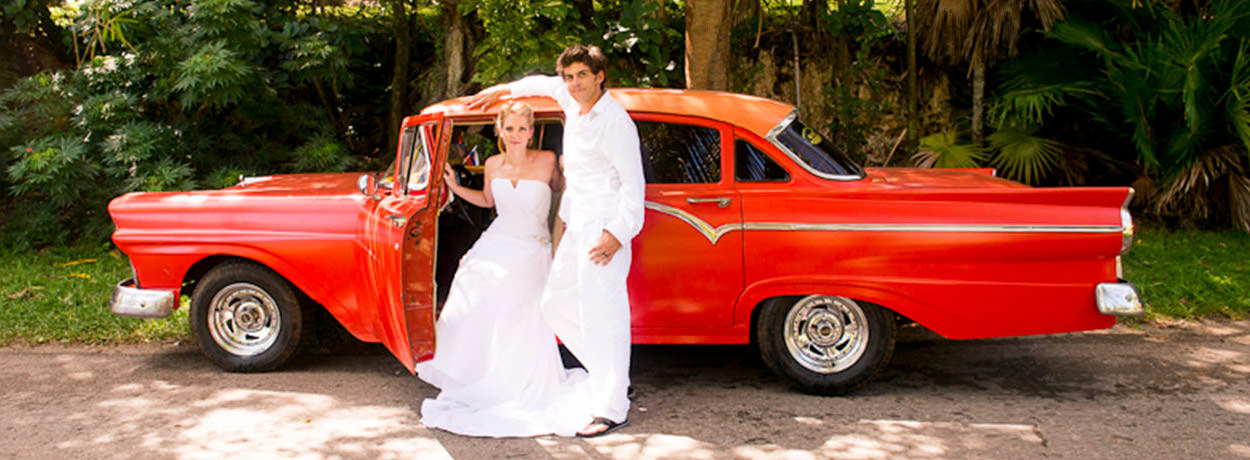 A Wedding to Admire