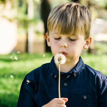 Boy blows dandelion seeds at Muttart Gardens